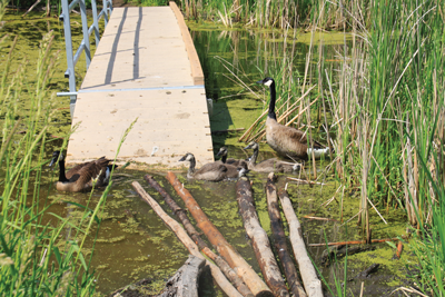 Aldo Leopold Nature Center
