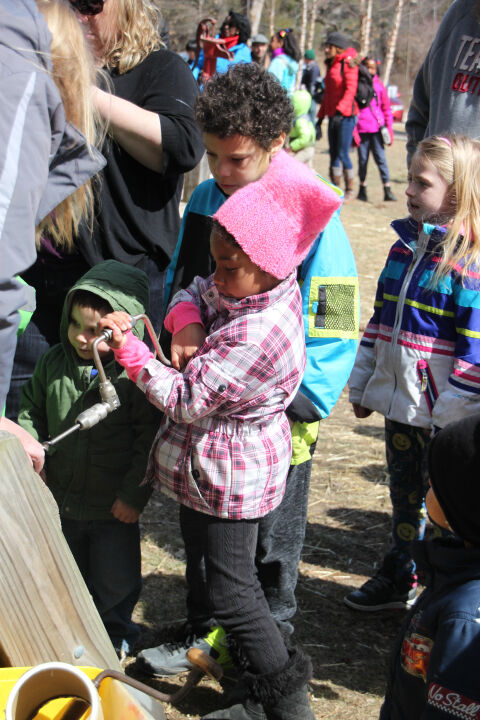 Maple Syrup Fest