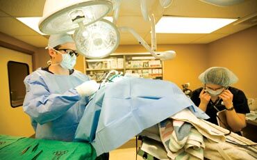 March09_VetStory