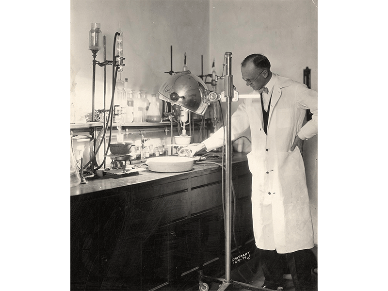 Harry Steenbock