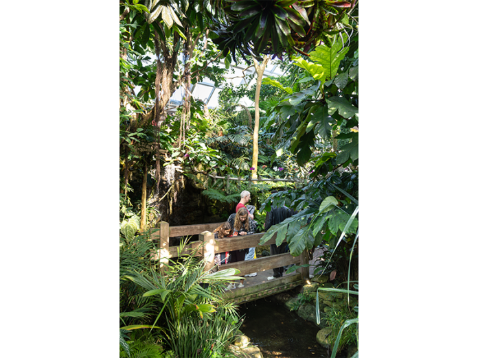 Visitors to the Bolz Conservatory can enjoy warm temps and lush surroundings.