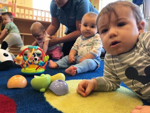 Tykes test top toys