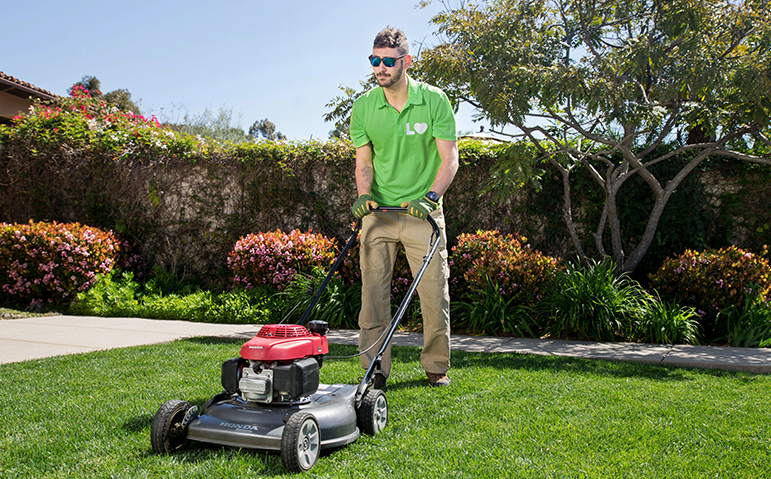 Photos courtesy of Lawn love
