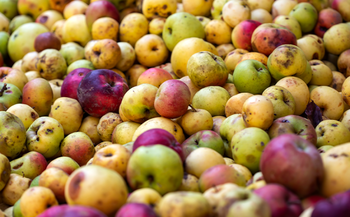 FoodWaste_panel