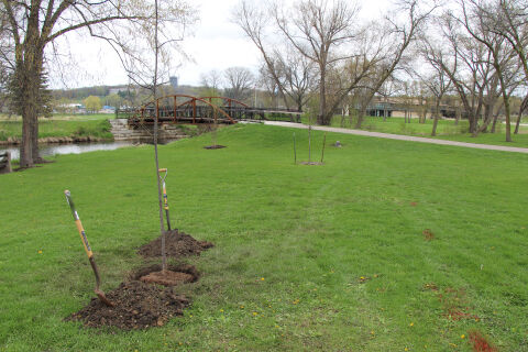 20th Annual Warner Park Clean Up