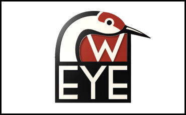 WisconsinEye