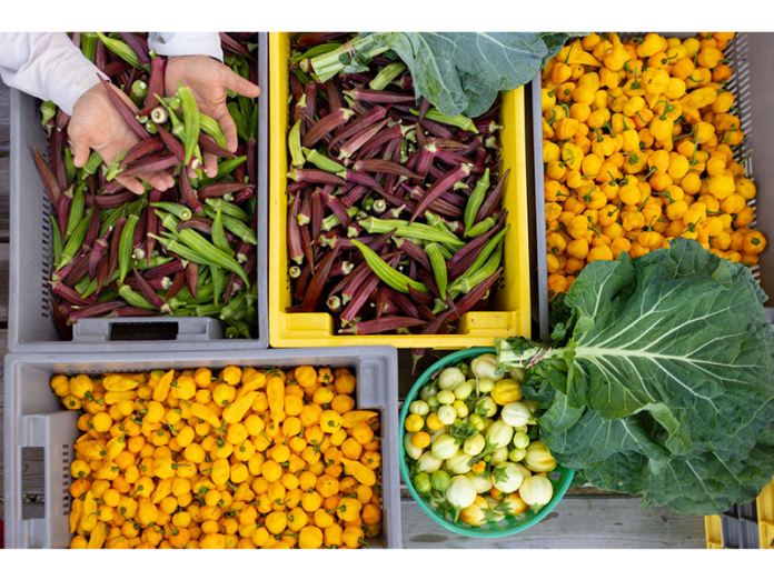 NOV25_GivingGuideGallery_NourishingCommunity_01.png