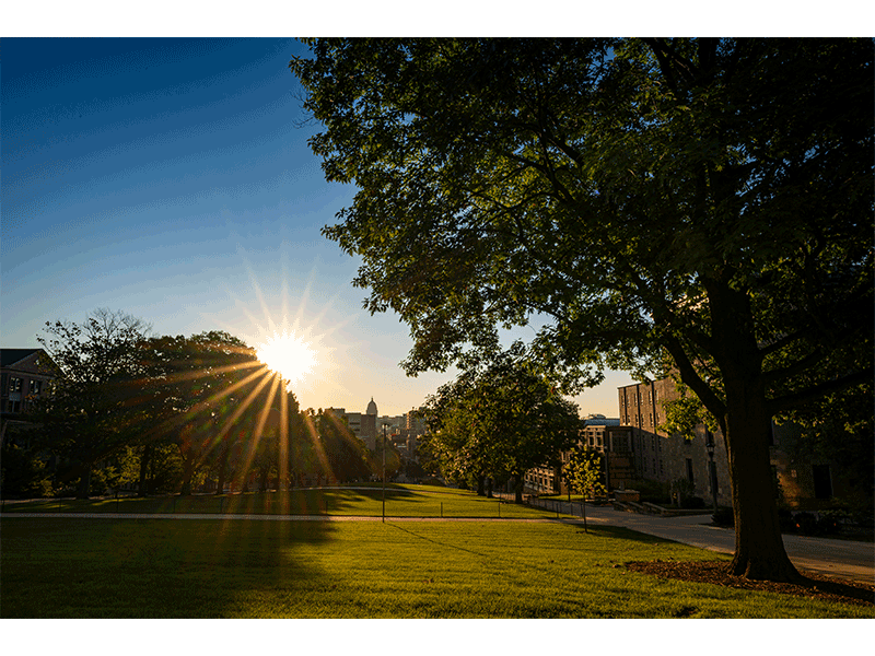 A sunrise coming up over the State Capitol, taken from Bascom Hill on the UW-Madison campus.