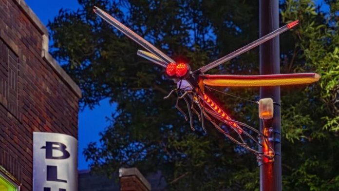 Dragons Fly art installation by Michael Young.