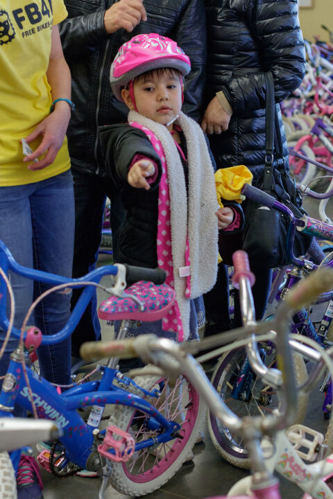 Mad About Bikes