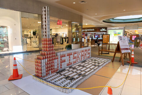 Canstruction yields 19 tons of food