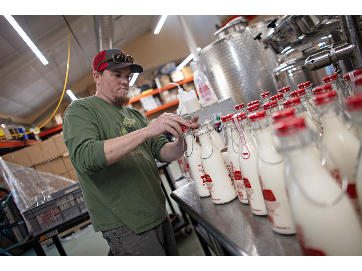A new batch of Wisco Cream is bottled at Brix Cider in Mount Horeb