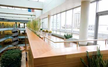 BusinessReport_122010