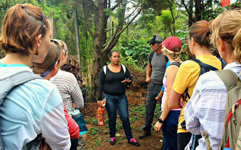 Photos courtesy of Just Coffee Cooperative