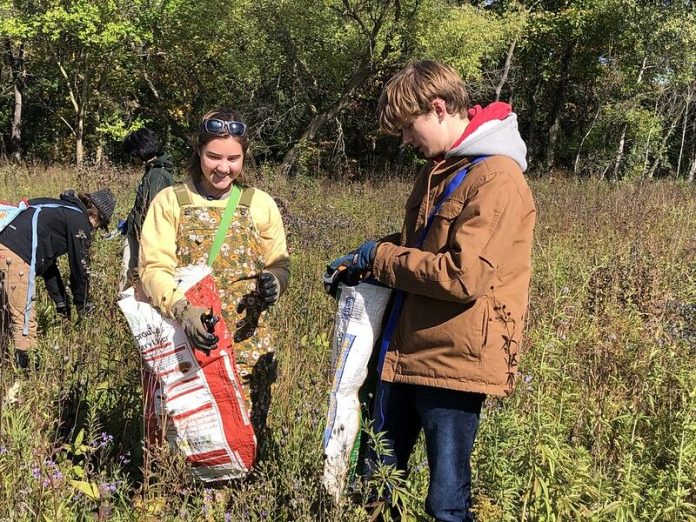 Youth Volunteers for Conservation participants take part in a seed collection at McCarthy County Park.
