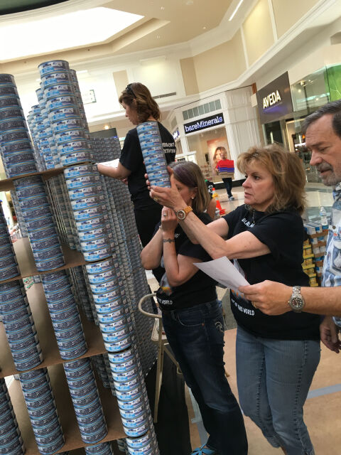 6th Annual Canstruction