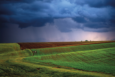 MAY20_Feat.Agribusiness_Issue_1