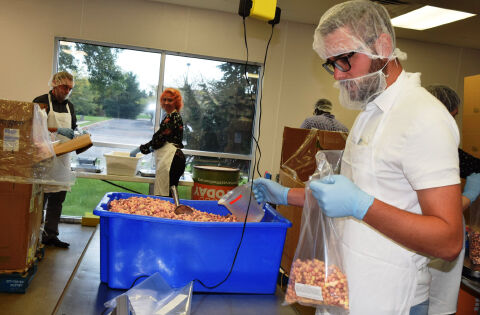 Food security and financial literacy