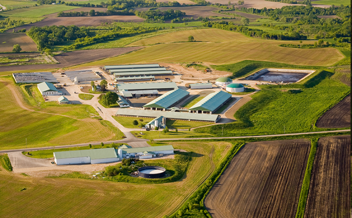 Crave Brothers Farm, located outside of Waterloo.