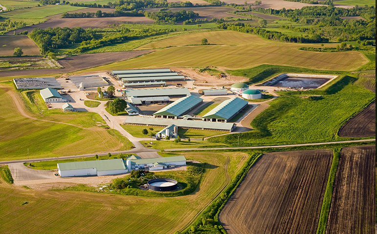 Crave Brothers Farm, located outside of Waterloo.