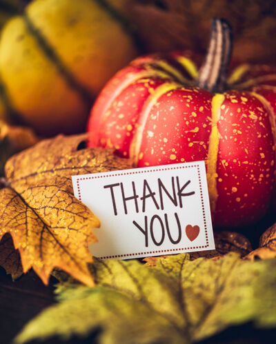 NOV16_FastTrack1