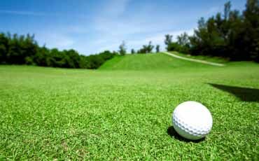 Golf_08032010
