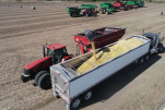 Helping Harvest