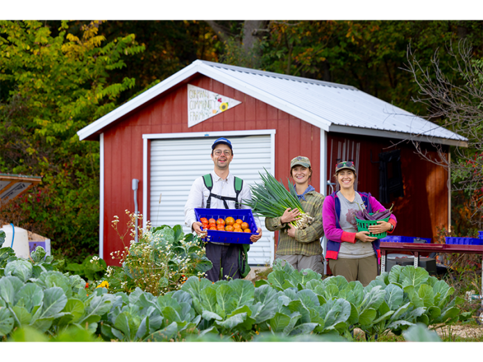 Left to right: Tom Bryan, Ellen Avenarius and Rachel Wortsman grow fresh vegetables for the residents of Gorman & Company's affordable housing developments. Healthy Food for All picks up the produce each week and delivers it.