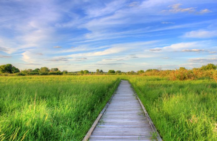 Wisconsin Madison The Nature Boardwalk