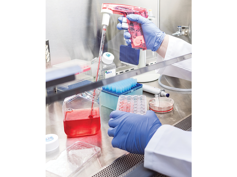 A researcher at work in UW-Madison's dermatology lab. The university stands to lose $1.5 million a week due to proposed cuts in federal grants.