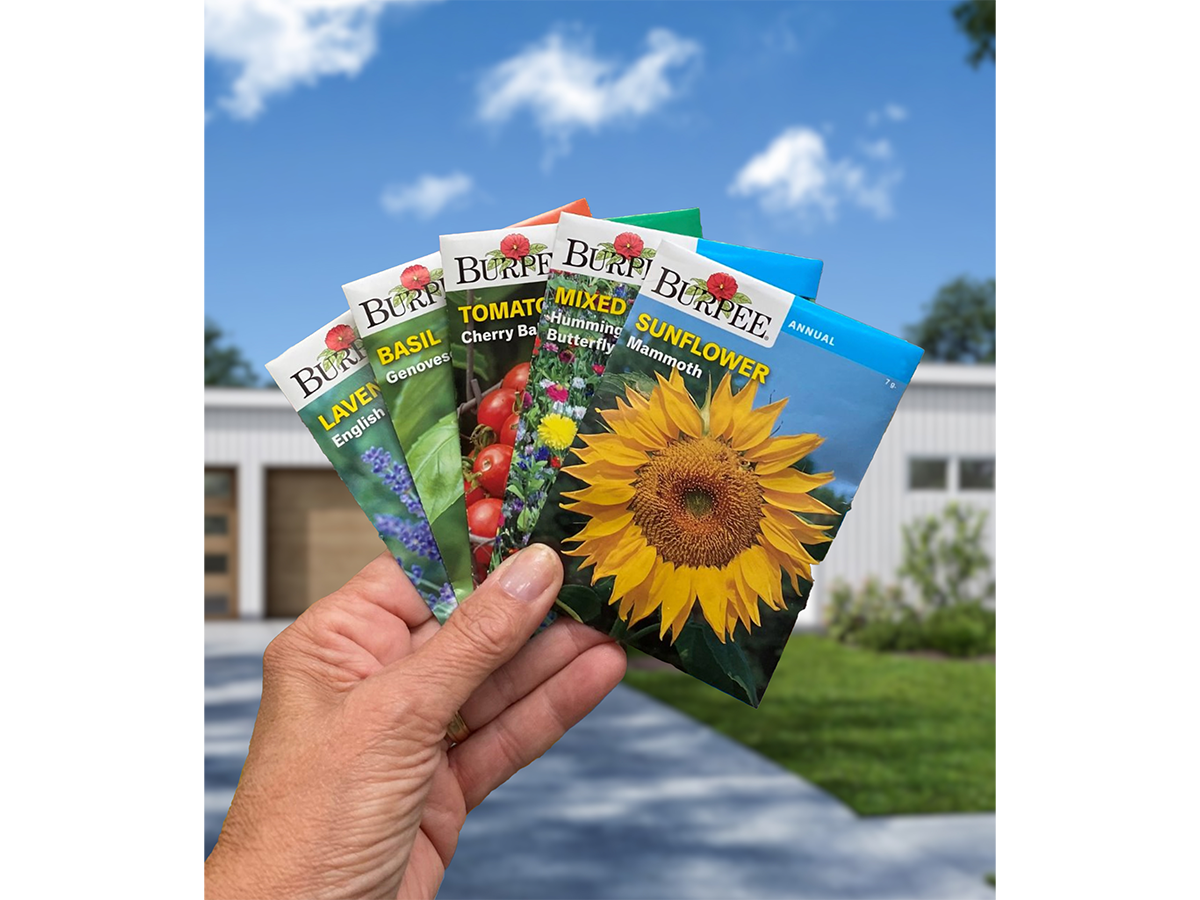 Burpee Seeds