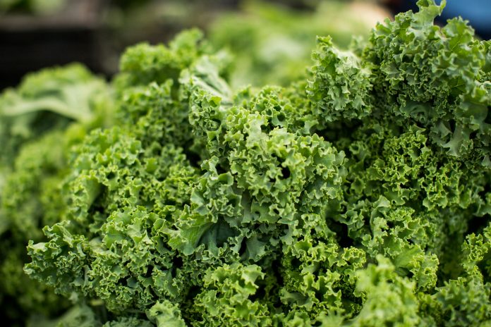 A closeup of kale