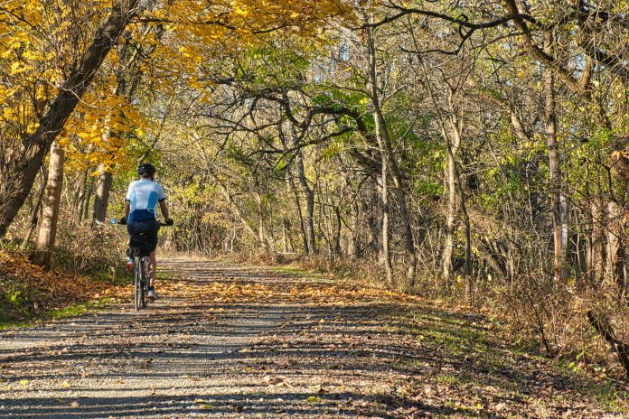 A bicyclist riding on a trail surrounded by trees