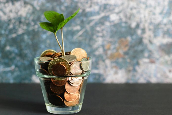 A plant growing out of a jar of coins